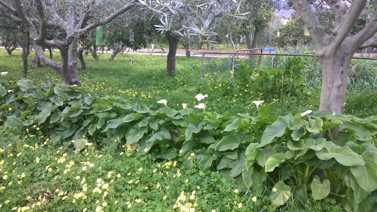 El Cortijo De La Abuela Konuk evi Benahadux Dış mekan fotoğraf