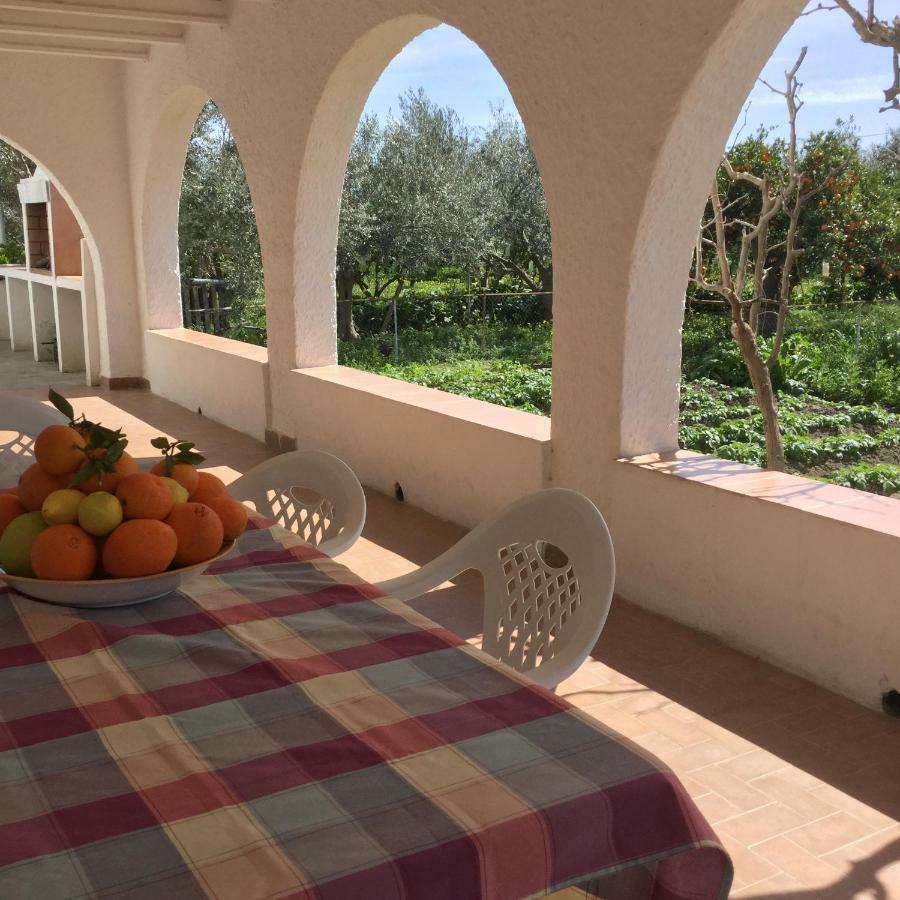 El Cortijo De La Abuela Konuk evi Benahadux Dış mekan fotoğraf
