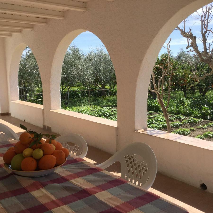 El Cortijo De La Abuela Konuk evi Benahadux Dış mekan fotoğraf